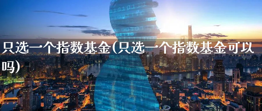 只选一个指数基金(只选一个指数基金可以吗)_https://www.yunsqy.com_期货技术_第1张