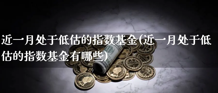 近一月处于低估的指数基金(近一月处于低估的指数基金有哪些)_https://www.yunsqy.com_期货整理_第1张