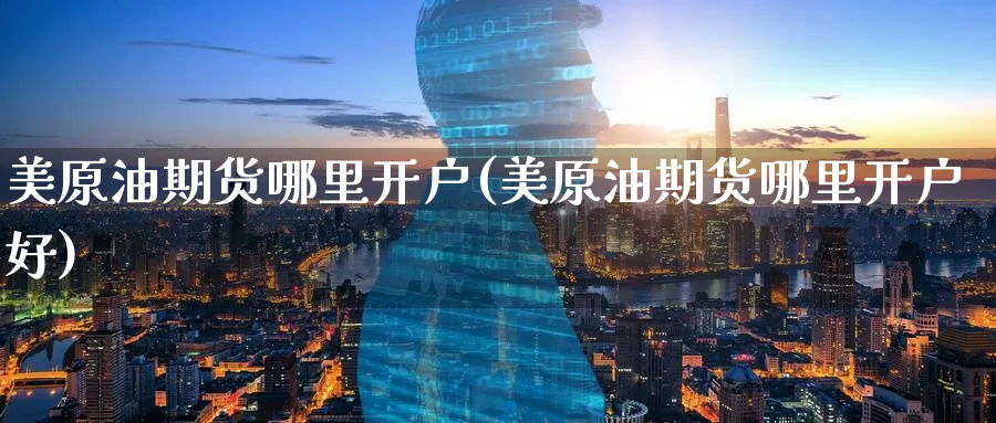 美原油期货哪里开户(美原油期货哪里开户好)_https://www.yunsqy.com_期货技术_第1张