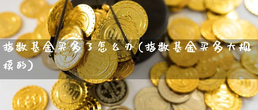 指数基金买多了怎么办(指数基金买多大规模的)_https://www.yunsqy.com_理财百科_第1张
