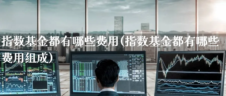 指数基金都有哪些费用(指数基金都有哪些费用组成)_https://www.yunsqy.com_期货分类_第1张