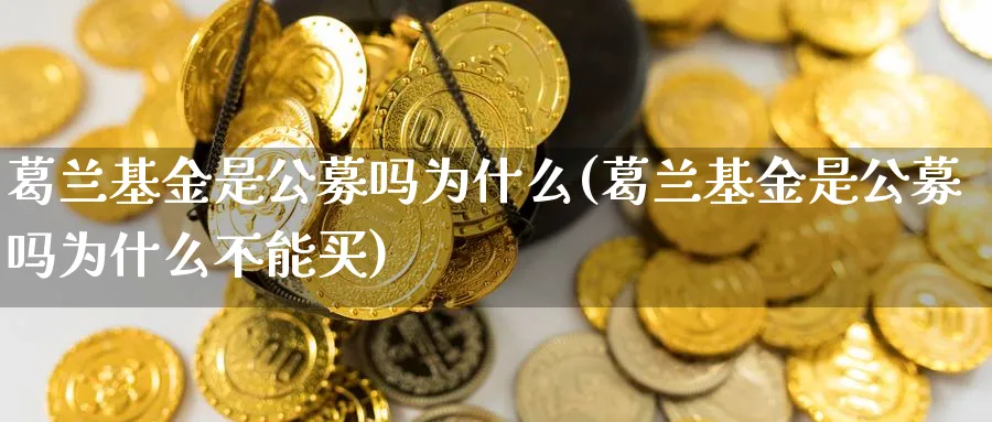 葛兰基金是公募吗为什么(葛兰基金是公募吗为什么不能买)_https://www.yunsqy.com_期货理财_第1张