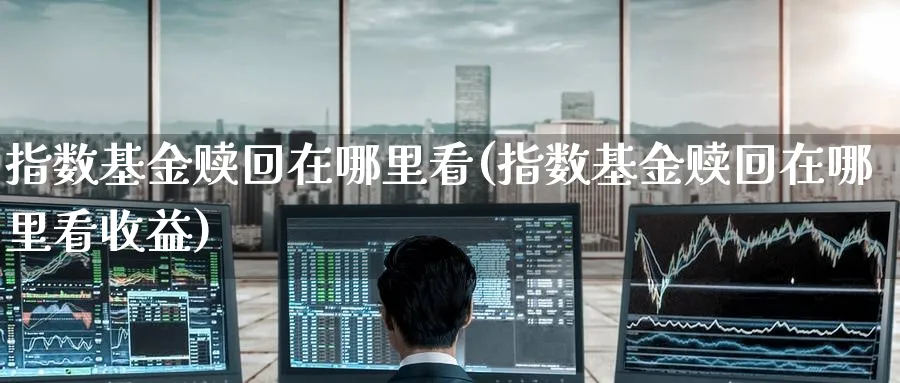 指数基金赎回在哪里看(指数基金赎回在哪里看收益)_https://www.yunsqy.com_期货理财_第1张