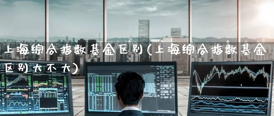 上海综合指数基金区别(上海综合指数基金区别大不大)_https://www.yunsqy.com_期货分类_第1张
