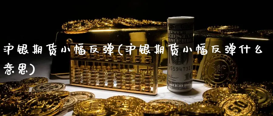 沪银期货小幅反弹(沪银期货小幅反弹什么意思)_https://www.yunsqy.com_期货技术_第1张