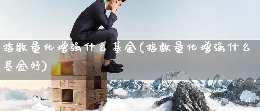 指数量化增强什么基金(指数量化增强什么基金好)_https://www.yunsqy.com_理财百科_第1张