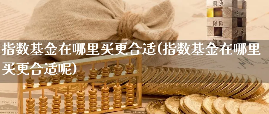 指数基金在哪里买更合适(指数基金在哪里买更合适呢)_https://www.yunsqy.com_期货技术_第1张
