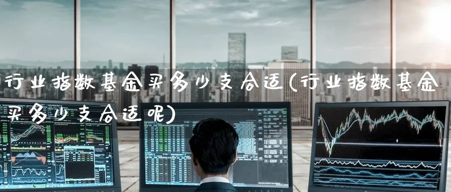 行业指数基金买多少支合适(行业指数基金买多少支合适呢)_https://www.yunsqy.com_纳指期货_第1张