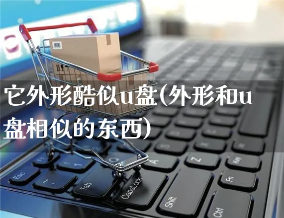 它外形酷似u盘(外形和u盘相似的东西)_https://www.yunsqy.com_期货直播_第1张