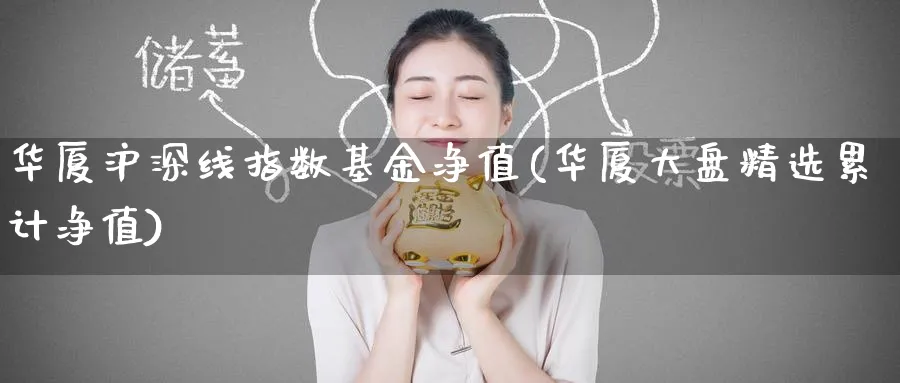 华厦沪深线指数基金净值(华厦大盘精选累计净值)_https://www.yunsqy.com_期货分类_第1张