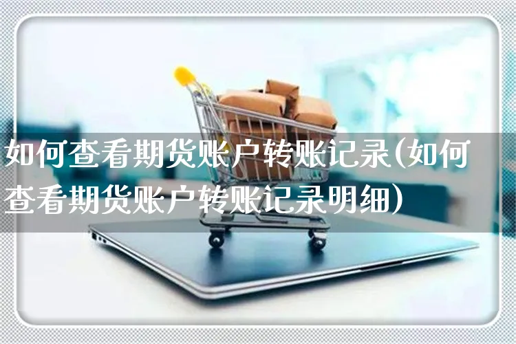 如何查看期货账户转账记录(如何查看期货账户转账记录明细)_https://www.yunsqy.com_黄金期货_第1张