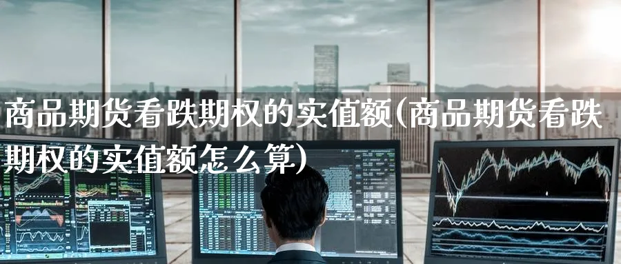 商品期货看跌期权的实值额(商品期货看跌期权的实值额怎么算)_https://www.yunsqy.com_期货技术_第1张