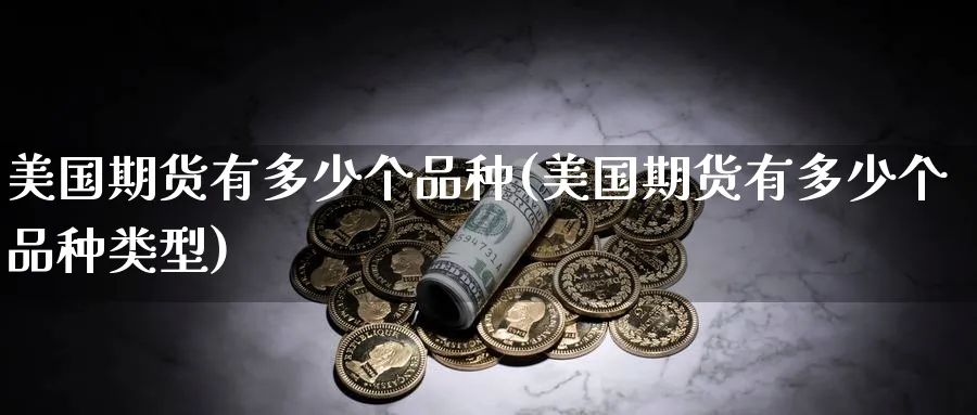 美国期货有多少个品种(美国期货有多少个品种类型)_https://www.yunsqy.com_期货技术_第1张