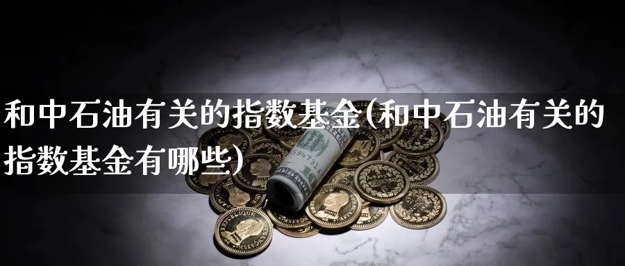 和中石油有关的指数基金(和中石油有关的指数基金有哪些)_https://www.yunsqy.com_期货分类_第1张