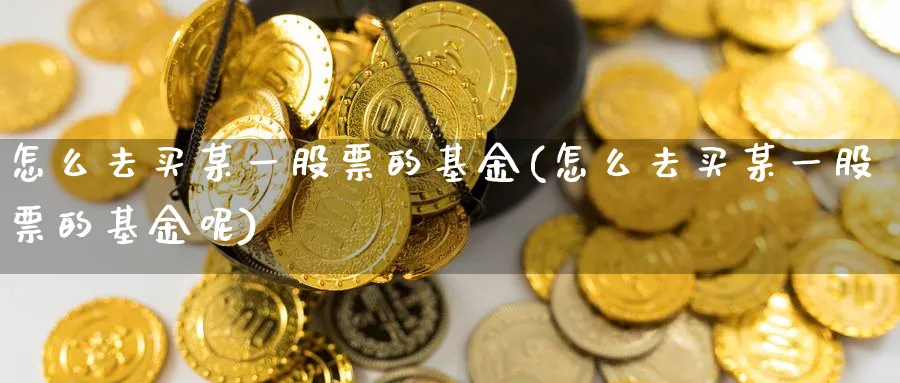 怎么去买某一股票的基金(怎么去买某一股票的基金呢)_https://www.yunsqy.com_原油期货_第1张