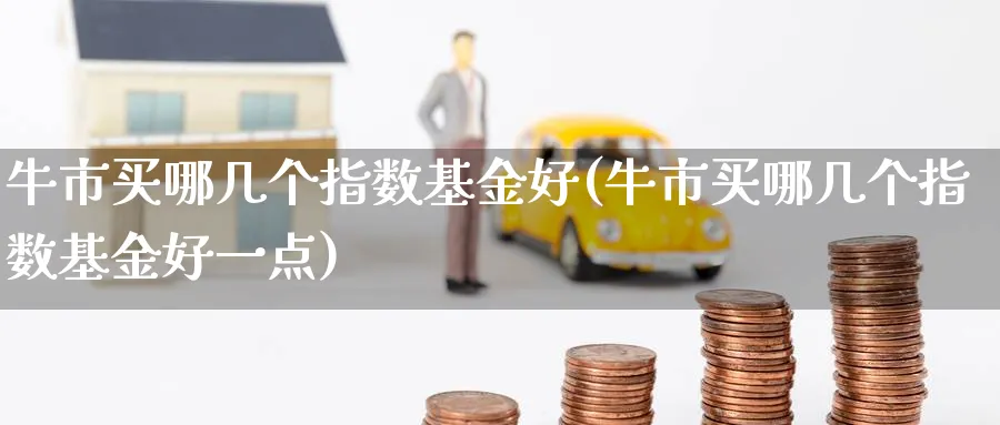 牛市买哪几个指数基金好(牛市买哪几个指数基金好一点)_https://www.yunsqy.com_期货技术_第1张